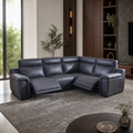 Monsoon Recliner
