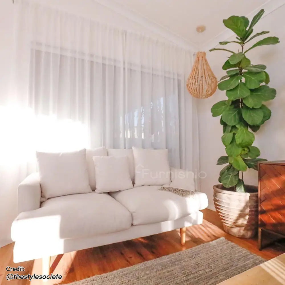 Seren - 3 + 2 + 1 Sofa Set
